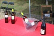 2024_08_vino_isla_2024_052