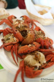 10_2015_necora_comida_006