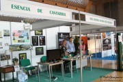 2015_10_fria_municipios_010