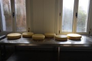 2021_08_queso_pasto_002
