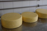 2021_08_queso_pasto_005