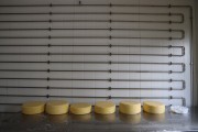 2021_08_queso_pasto_006