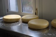 2021_08_queso_pasto_008
