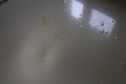 2021_08_queso_pasto_011