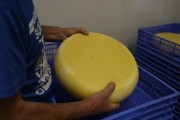 2021_08_queso_pasto_013