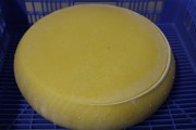 2021_08_queso_pasto_014
