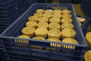 2021_08_queso_pasto_019