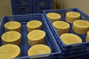 2021_08_queso_pasto_022