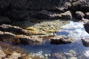 IMG_2770