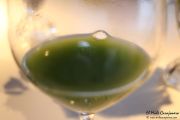 2014_08_deluz_kaiseki_046