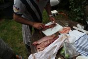 2013_bonito_norte_mules_005