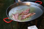 2013_bonito_norte_mules_012