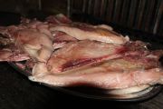 2012_09_ventresca_cubas_035