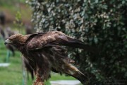 2016_04_jornadas_cantur_022