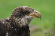 2016_04_jornadas_cantur_023