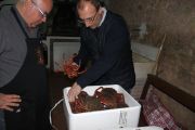 IMG_8161