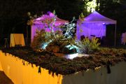 fiesta_necora_2013_033