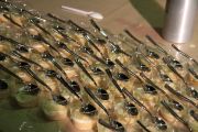 fiesta_necora_2013_049