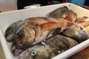 2014_05_anchoa_comida_003