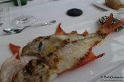 2014_05_anchoa_comida_026