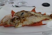 2014_05_anchoa_comida_028