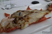 2014_05_anchoa_comida_029