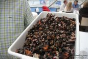 2014_05_anchoa_comida_040