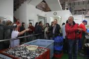 2014_05_anchoa_elaborancion_009