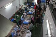 2014_05_anchoa_elaborancion_011
