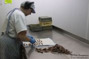 2014_05_anchoa_elaborancion_024