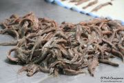2014_05_anchoa_elaborancion_025