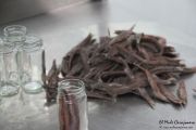 2014_05_anchoa_elaborancion_034