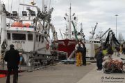 2014_05_anchoa_descarga_007