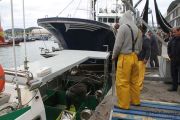 2014_05_anchoa_descarga_010
