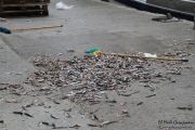 2014_05_anchoa_descarga_018