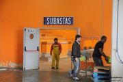 2014_05_anchoa_descarga_024