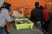 2014_05_anchoa_descarga_025