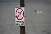 2014_05_anchoa_bahia_003