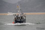 2014_05_anchoa_bahia_006