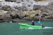 2014_05_anchoa_bahia_017
