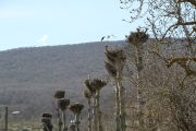 IMG_2877