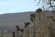 IMG_2878