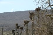 IMG_2879