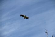 IMG_2886