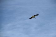 IMG_2888