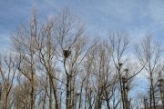 IMG_2893