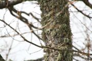 IMG_2959