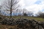 IMG_4144