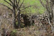 IMG_4151