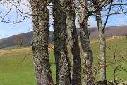IMG_4160